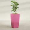 Toulan Extra Large Tall Tapered Square Fiberglass Planter - 23 in x 23 in x 48 in - Gloss Pink Violet - Gloss Pink Violet,23 in x 23 in x 48 in