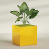 Montroy Extra Large Cube Square Fiberglass Planter - 60 in x 60 in x 60 in - Gloss Saffron - Gloss Saffron,60 in x 60 in x 60 in