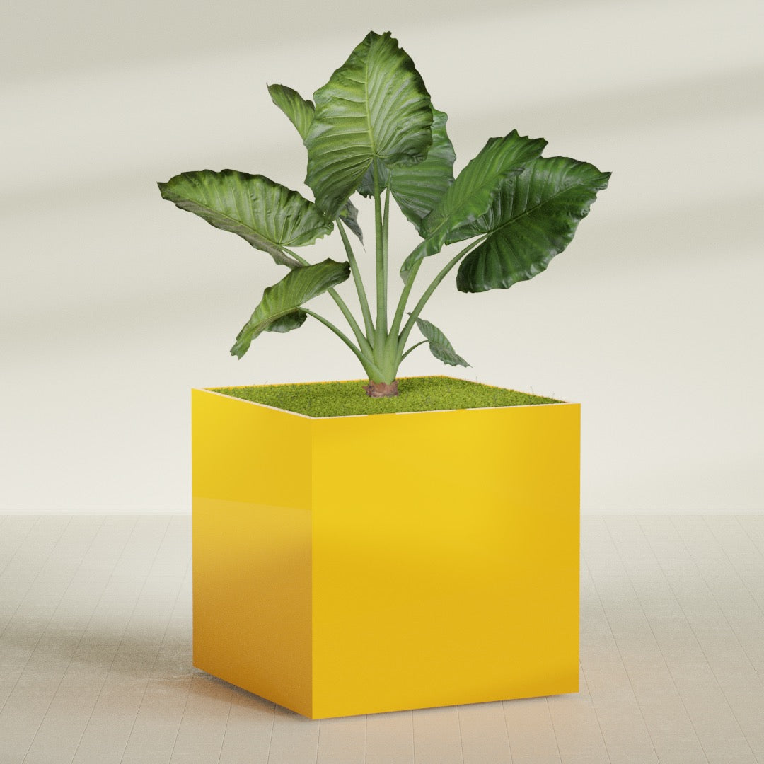 Montroy Extra Large Cube Square Fiberglass Planter - 60 in x 60 in x 60 in - Gloss Saffron - Gloss Saffron,60 in x 60 in x 60 in