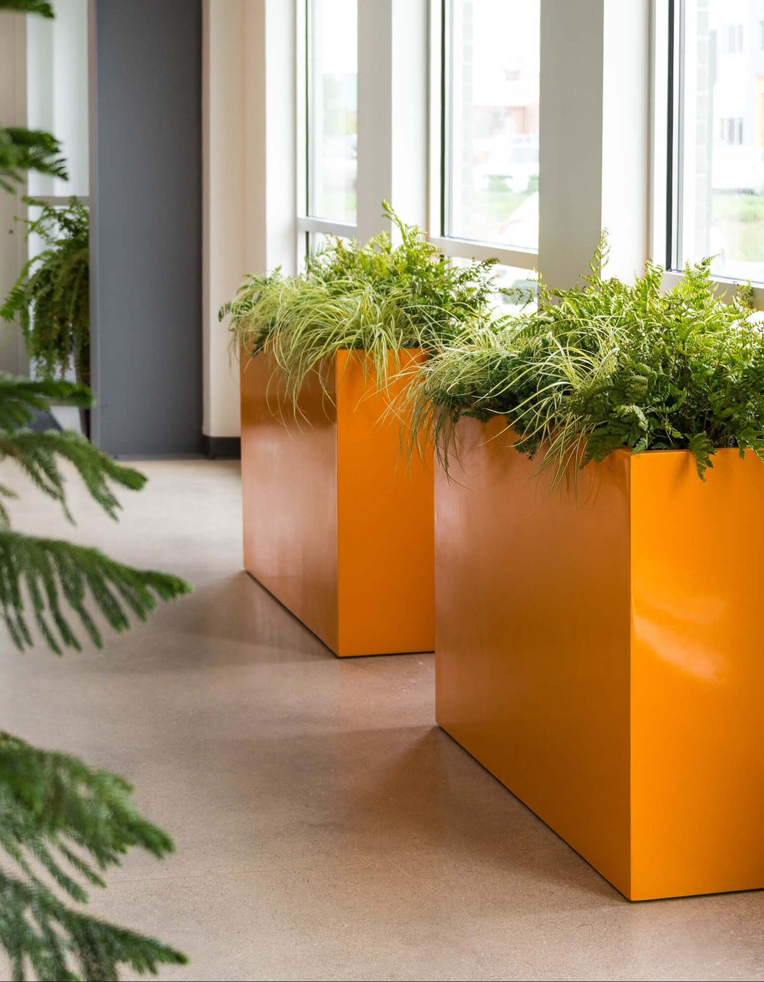 Account banner Image