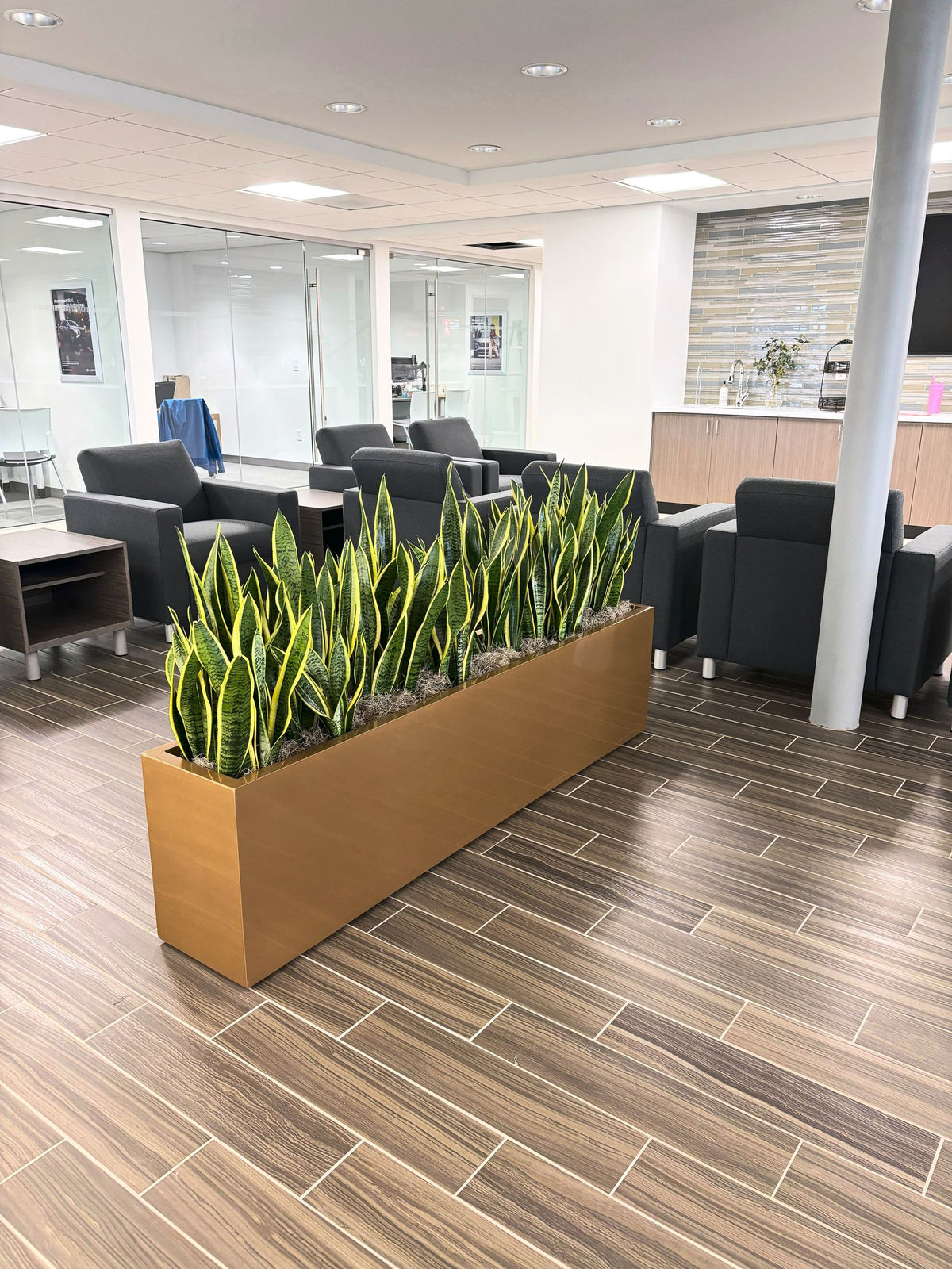 Interiorscaping Helps Create Welcoming Environment at Central Illinois Car Dealership – photo 7