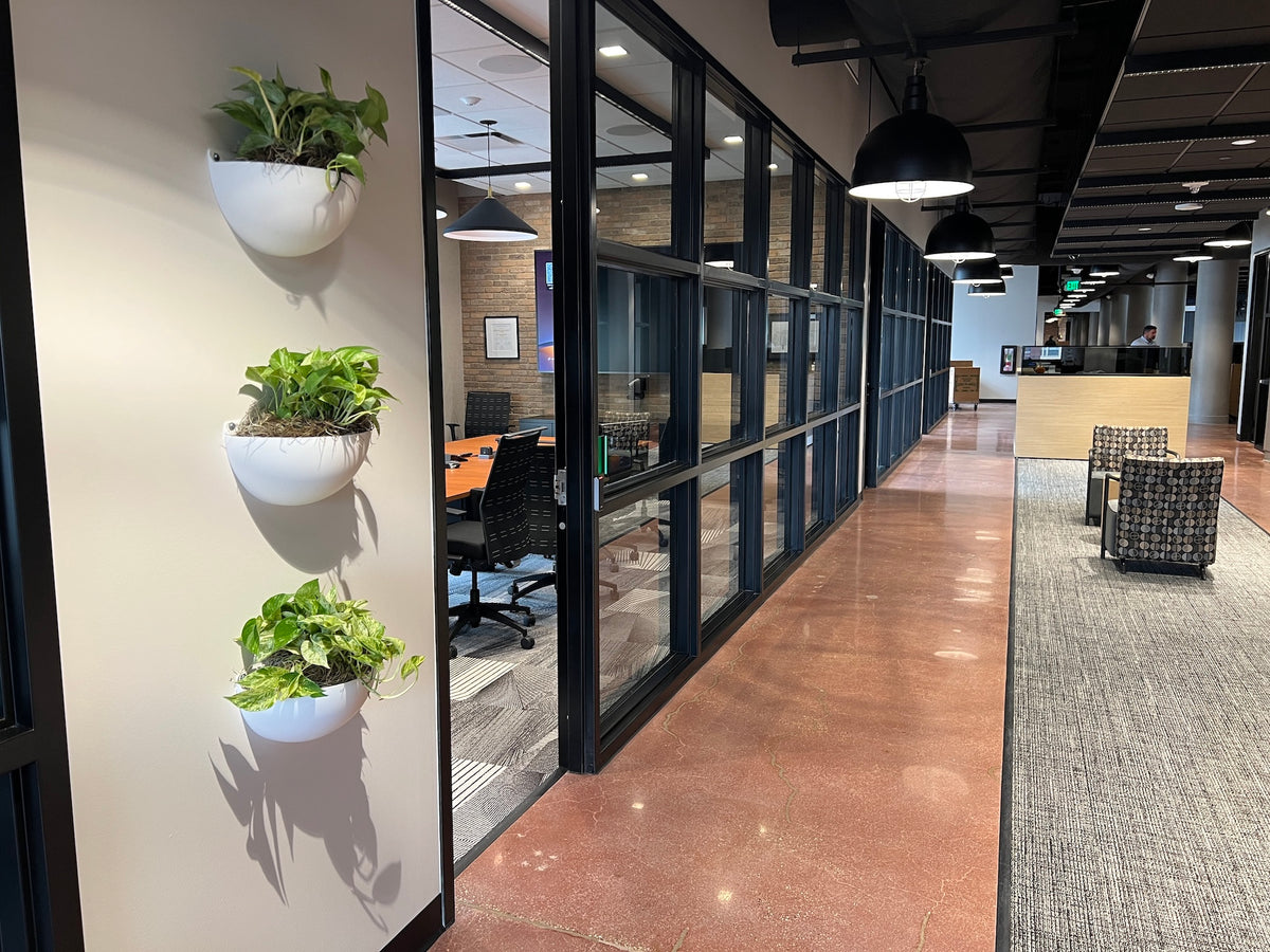 Milwaukee-Based Interiorscapes Brightens Enerpac Office Common Area with Plant Wall Installation – photo 2