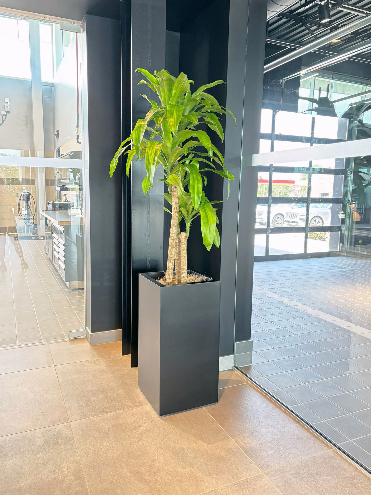 Interiorscaping Helps Create Welcoming Environment at Central Illinois Car Dealership – photo 4