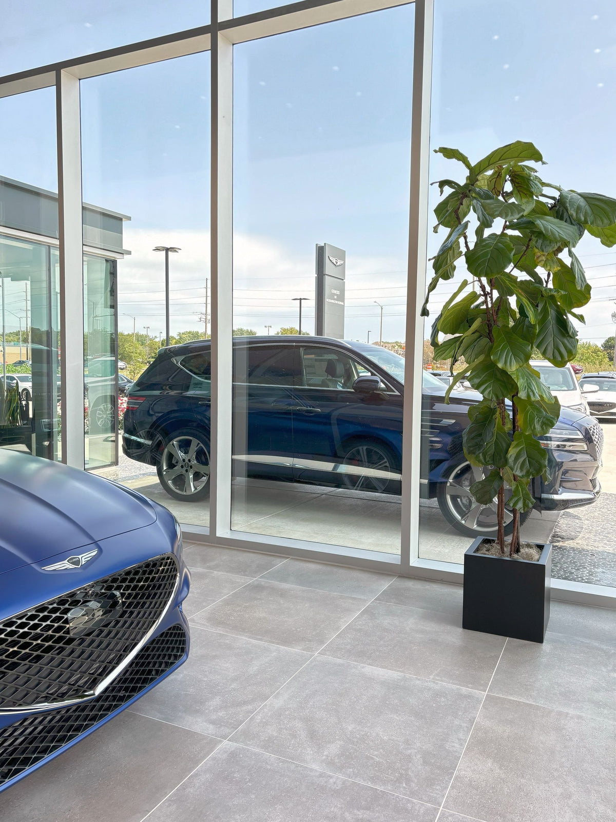 Interiorscaping Helps Create Welcoming Environment at Central Illinois Car Dealership – photo 2