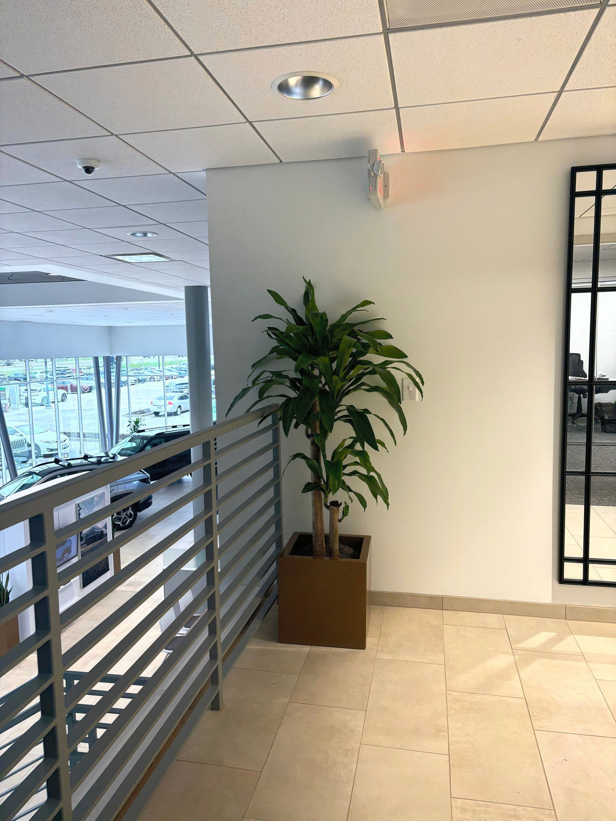 Interiorscaping Helps Create Welcoming Environment at Central Illinois Car Dealership – photo 11