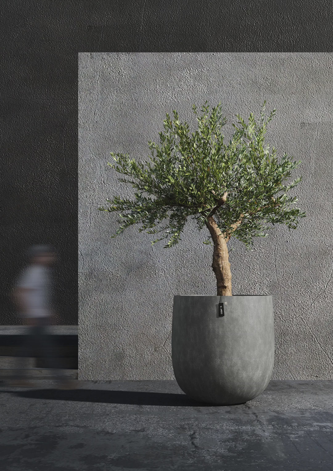 COSAPOTS Mondo round planters shown across sizes