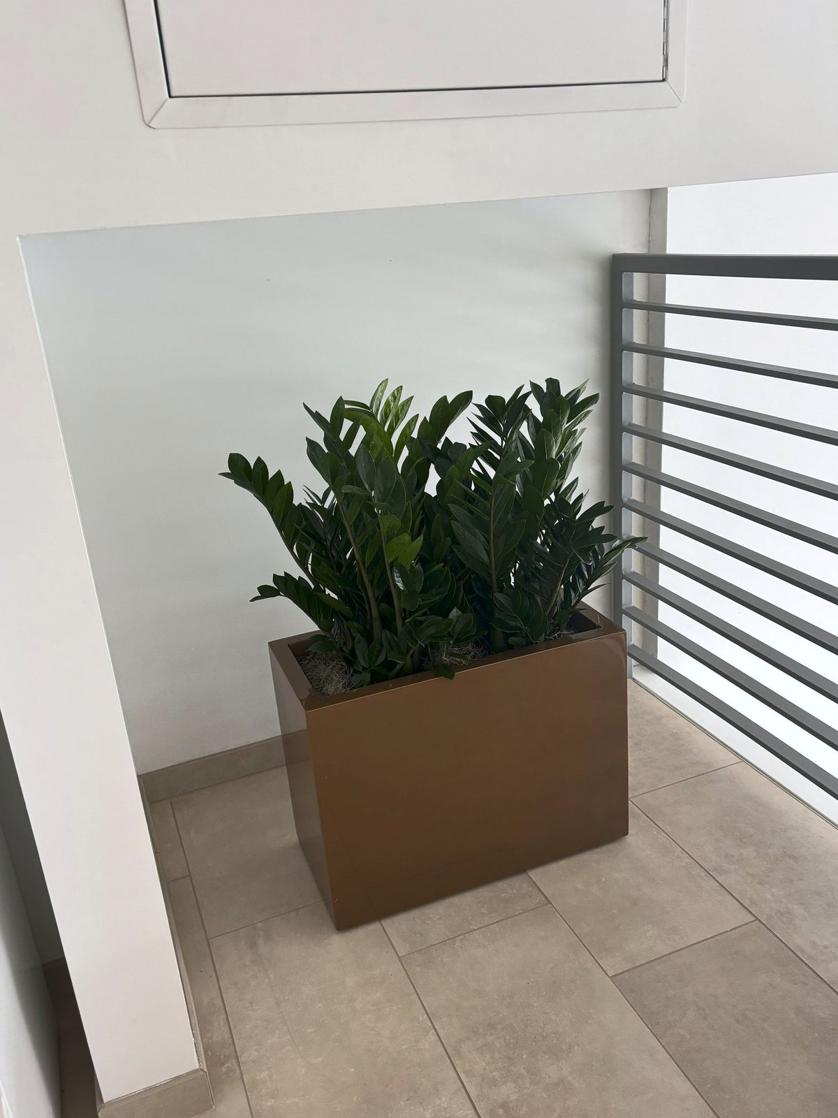 Interiorscaping Helps Create Welcoming Environment at Central Illinois Car Dealership – photo 1