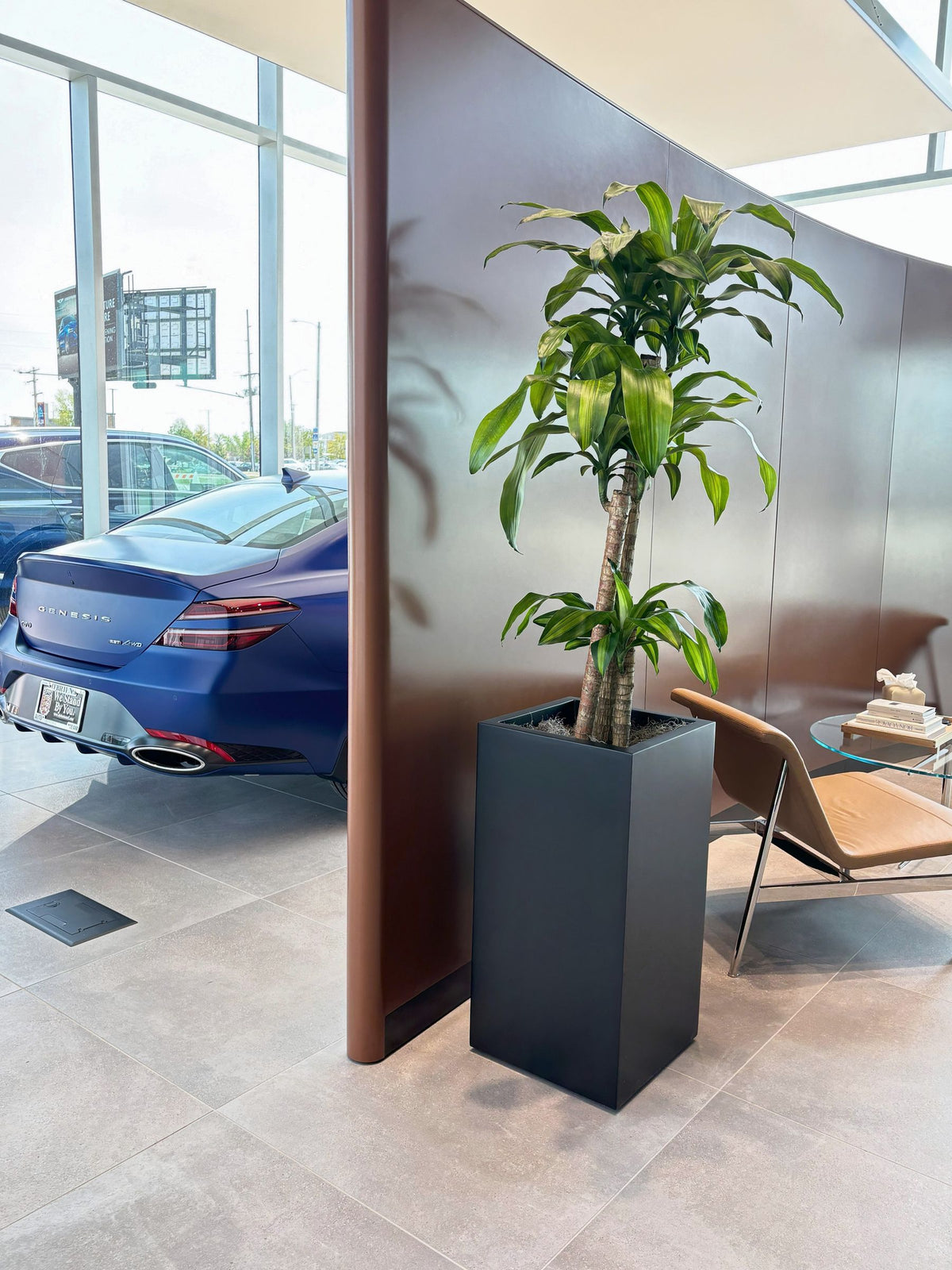 Interiorscaping Helps Create Welcoming Environment at Central Illinois Car Dealership – photo 8