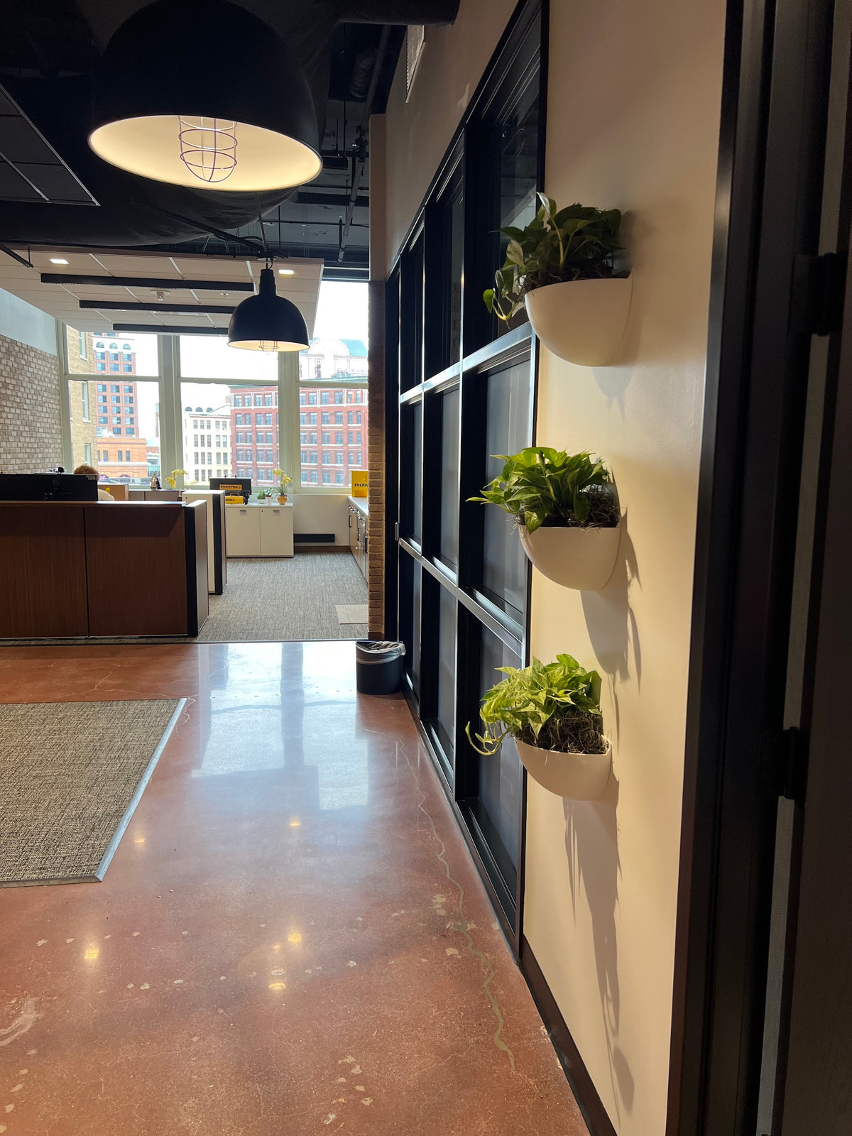 Milwaukee-Based Interiorscapes Brightens Enerpac Office Common Area with Plant Wall Installation – photo 6