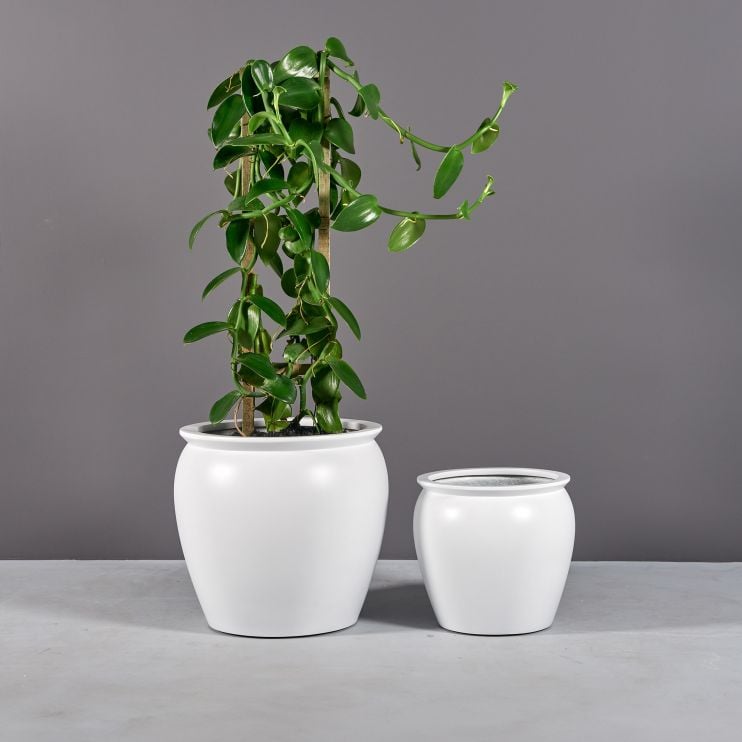 Jay Scotts Fiberglass Shanghai Fishbowl Round Planter (16