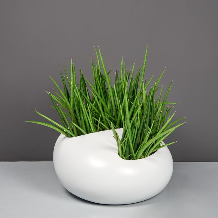 Jay Scotts Fiberglass River Rock Abstract Planter - (7