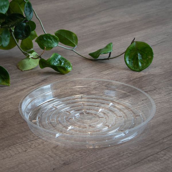 CLEARNEO 30ｇ Low Clear Vinyl Plant Saucers | NewPro