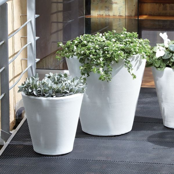 【コラソン】NEIGHBORHOOD TAPERED-S P-PLANT コラソン】NEIGHBORHOOD TAPERED-S P-PLANT TAPERED SILHOUETTE