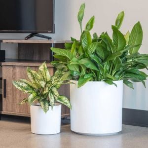 PotLuck Color-Molded Plastic Round Floor Planter Pot
